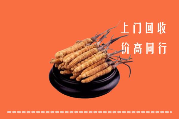 高价求购：新乡市凤泉区回收散虫草
