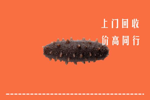 新乡市凤泉区回收海参