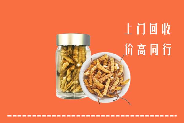 新乡市凤泉区回收冬虫夏草