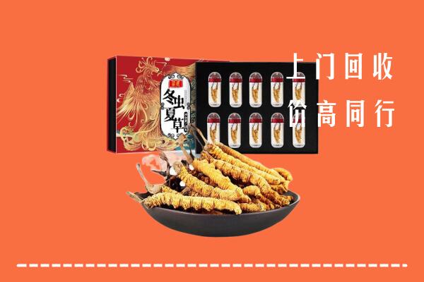 新乡市凤泉区回收虫草